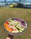 Wellness Bowl