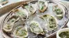 Oysters Half-Dozen