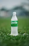 Sprite 0,33l