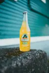 Jarritos Pineapple