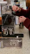 cortado