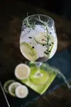 Gin Tonic