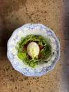 Burrata Salad with Tomatoes and Balsamic Dressing