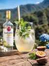 Mojito Botánico